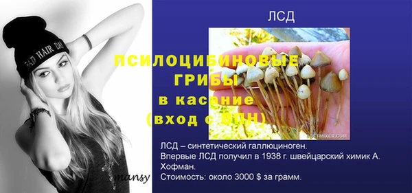 меф Алексин