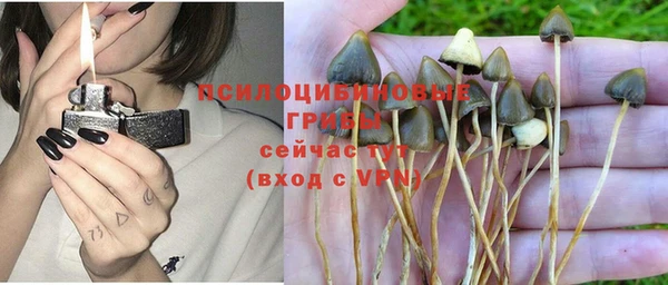 a pvp Алексеевка