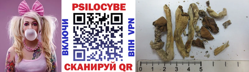 где купить наркоту  Яровое  Псилоцибиновые грибы Psilocybe 